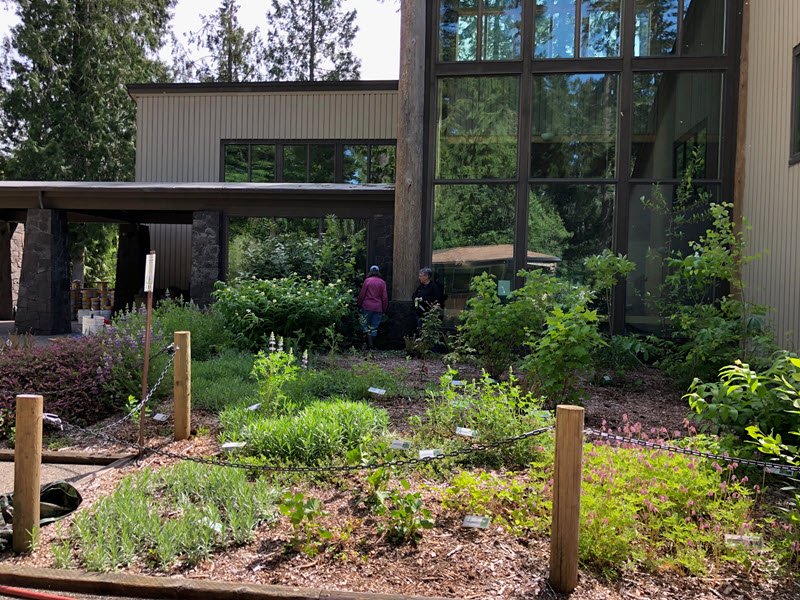 selection of spring native plants in front of Park building