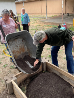 building garden bed