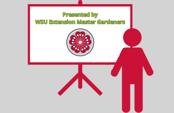speaker icon with MG Presentation and spirit mark