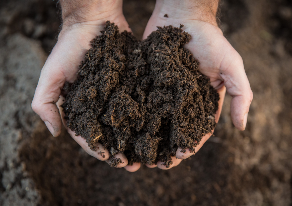 cupped hands holding rich, brown soil