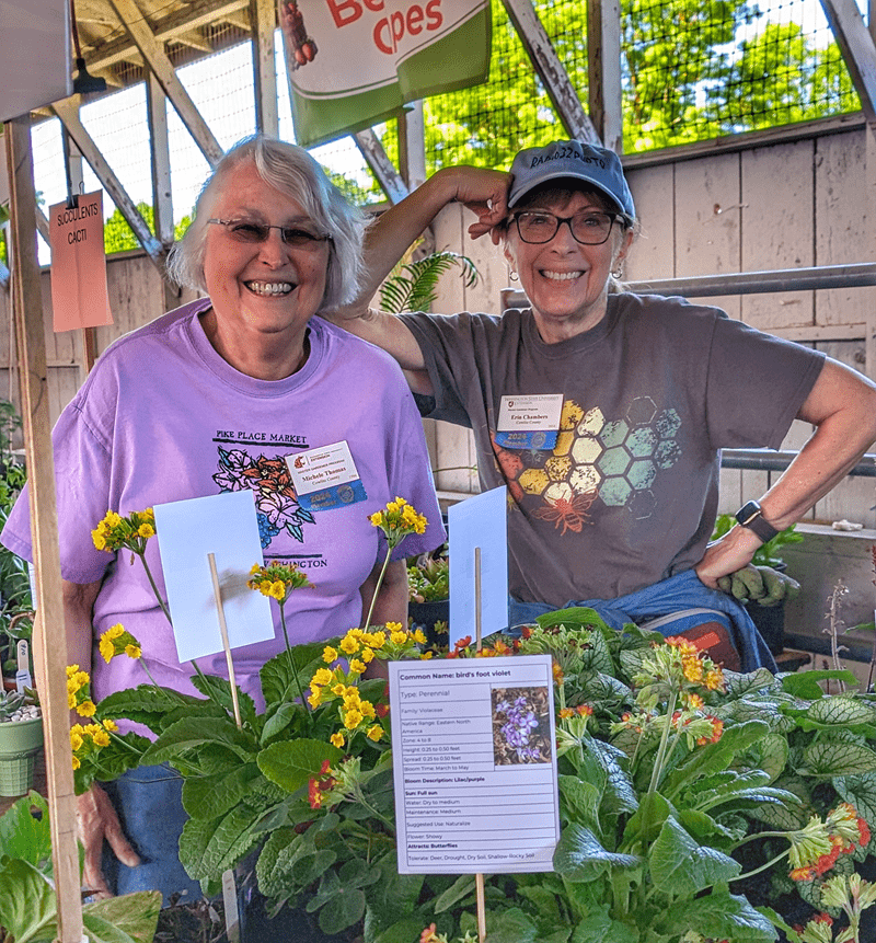 Two Master Gardeners, female, smiling and with  a forefront of green plants with yellow flowers
