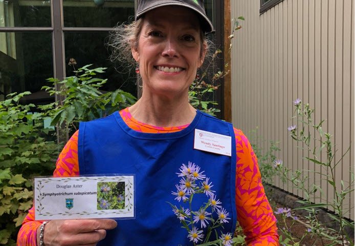 Smiling Master Gardener holding purple aster and the identification sign for them.